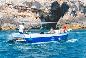 シラキュース：オルティージャ島と海の洞窟のプライベートボートツアー