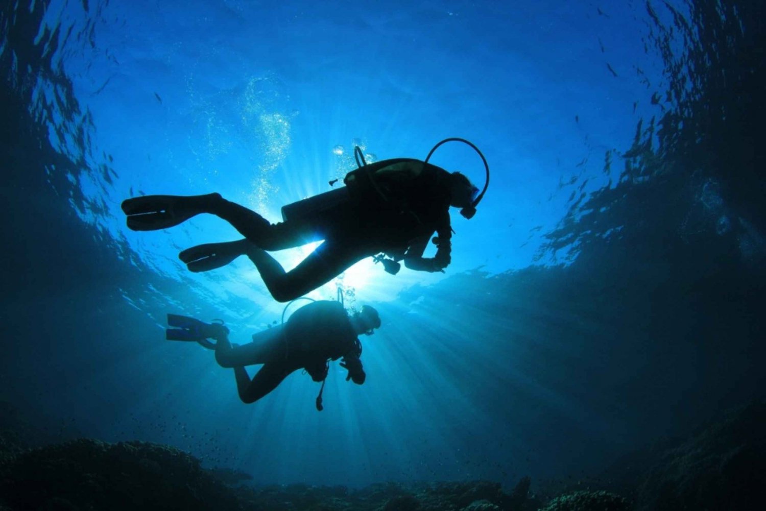 Syracuse : Scuba diving for beginners in the Plemmirio area