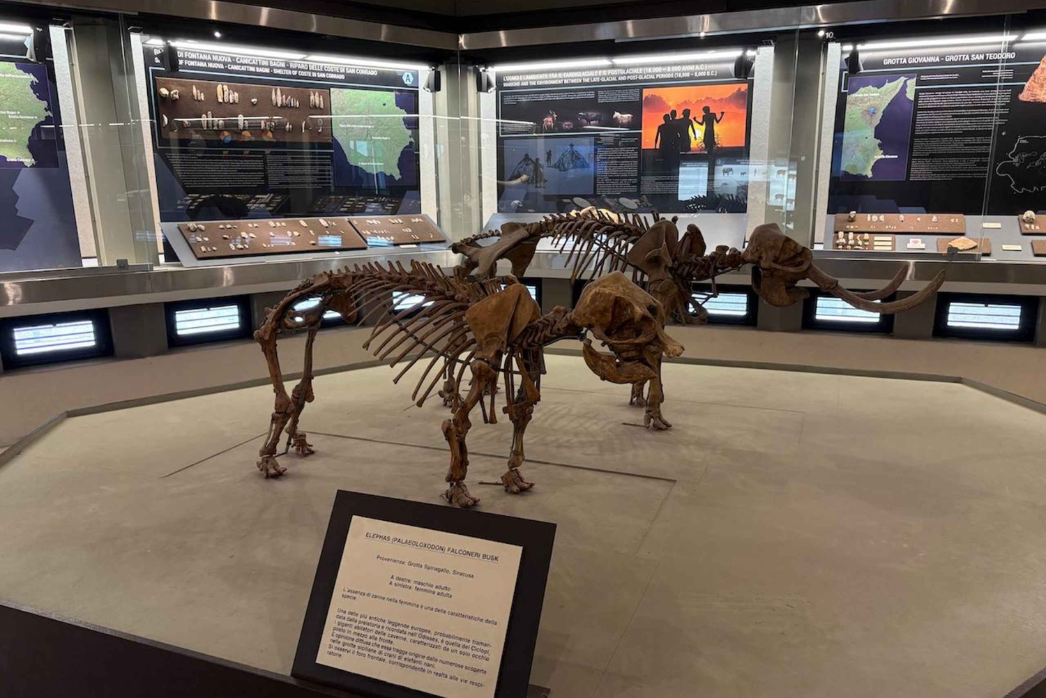 Syrakuzy: zwiedzanie Muzeum Archeologicznego „P. Orsi” – podróż w czasie