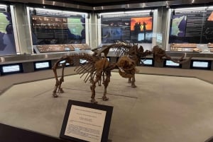 Syracuse: Tour of the Archaeological Museum 'P. Orsi' for a journey through history