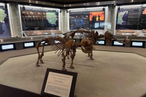 Syrakuzy: zwiedzanie Muzeum Archeologicznego „P. Orsi” – podróż w czasie