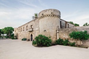 Syracuse: wijnproeven in een kasteel en historische tuin