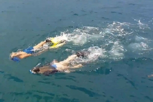 syracuse: undervanns dåp