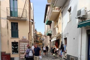 Taormina and Castelmola: Private tour
