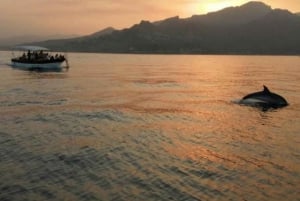 Taormina Coast Tour and Searching Dolphins