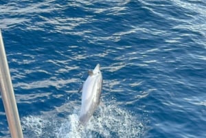 Taormina: Dolphin Tour and Sunset Aperitif Boat Tour