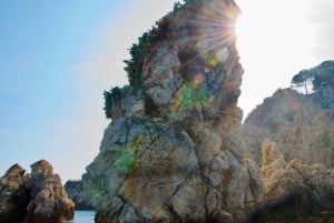 Taormina: Dolphin Tour and Sunset Aperitif Boat Tour