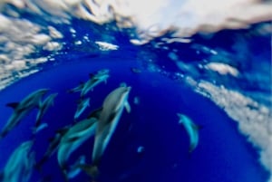 Taormina: Dolphin Tour and Sunset Aperitif Boat Tour