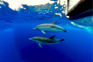 Taormine : tour avec les dauphins et apéritif au coucher du soleil en bateau
