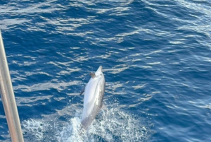 Taormine : tour avec les dauphins et apéritif au coucher du soleil en bateau