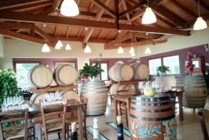 Taormina: Etna Tour, Winery Visit, Lunch and Wine Tasting