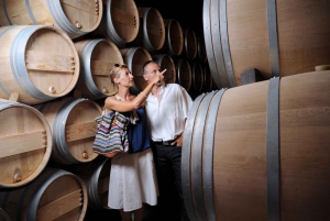 Taormina: Etna Tour, Winery Visit, Lunch and Wine Tasting