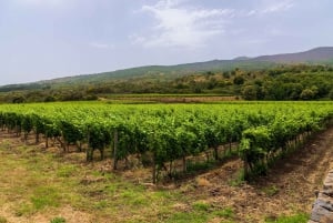 Taormina: Etna Tour, Winery Visit, Lunch and Wine Tasting