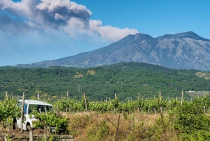 Taormina: Etna Tour, Winery Visit, Lunch and Wine Tasting
