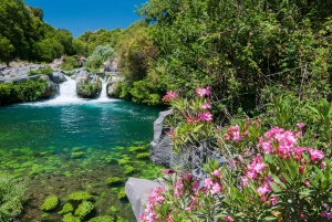 Taormina: Etna-tur, vingårdsbesøg, frokost og vinsmagning