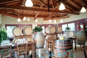 Taormina: Etna-tur, vingårdsbesøg, frokost og vinsmagning