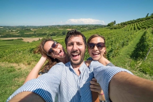 Taormina: Etna-tur, vingårdsbesøg, frokost og vinsmagning