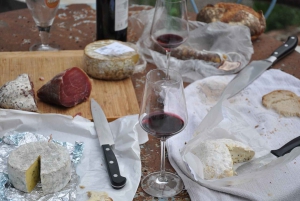 Taormina: Etna-tur, vingårdsbesøg, frokost og vinsmagning