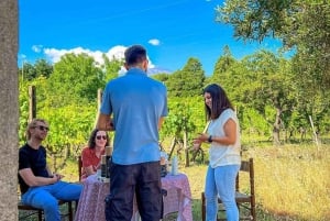 Taormine : visite culinaire et vinicole en voiture ancienne