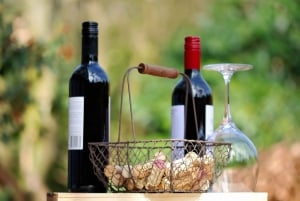 Taormina: Guidet halvdagstur med vinsmagning på Etna
