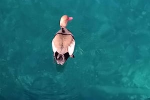 Taormina: Isola Bella båttur med Prosecco ombord