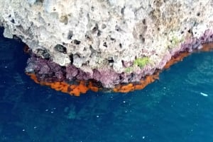 Taormina: Isola Bella båttur med Prosecco ombord