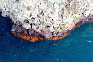 Taormine : tour en bateau de l'Isola Bella avec Prosecco à bord