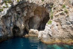 Taormina: Dolphin Tour and Sunset Aperitif Boat Tour