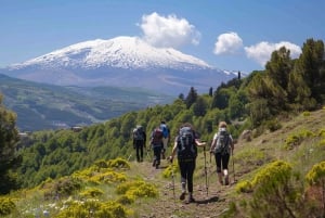 Taormina: Etna-vuori ja Alcantara-rotko päiväkierros