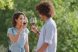 Taormina: Tur til Etna med vinprovning og lunsj