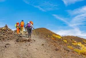 Taormina: Tur til Etna med vinprovning og lunsj