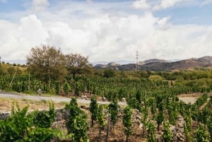 Taormina or Giardini Naxos: Off-Road ATV Tour of Mount Etna