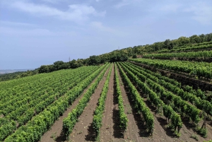 Taormina: Private 3 Etna Family Wineries Tour with Tastings