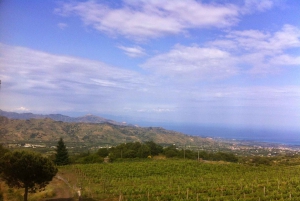 Taormina: Private 3 Etna Family Wineries Tour with Tastings