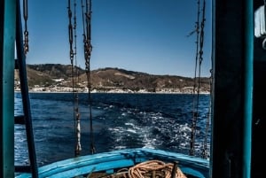 Taormina: transfer w obie strony z Mesyny