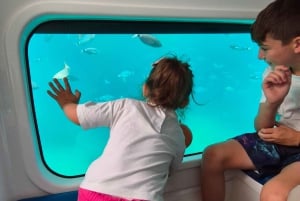 Taormina: Havtur i Nemosub med delfinsafari