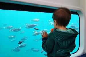 Taormina: Havtur i Nemosub med delfinsafari