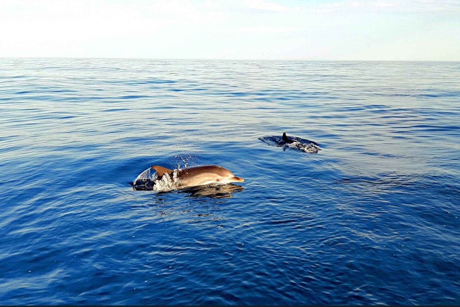 Taormine : sortie en bateau au coucher du soleil avec apéritif