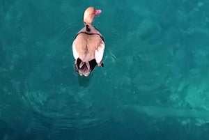 Taormina: Isola Bella Boat Tour with Prosecco Onboard