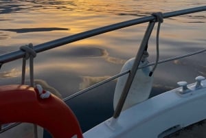 Giardini Naxos: Delfinbeobachtungstour bei Sonnenuntergang mit Aperitif