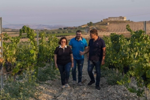 アグリジェントの田園地帯でのEVOワインとオリーブオイルのテイスティング