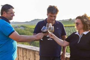 アグリジェントの田園地帯でのEVOワインとオリーブオイルのテイスティング