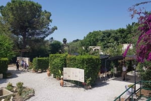 Tecnoparco Archimede Museum utställningsbiljett