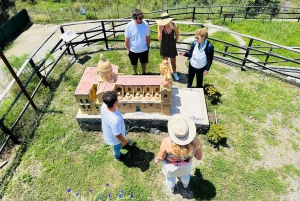 A Volta dos Pais - Savoca e Forza d'Agrò