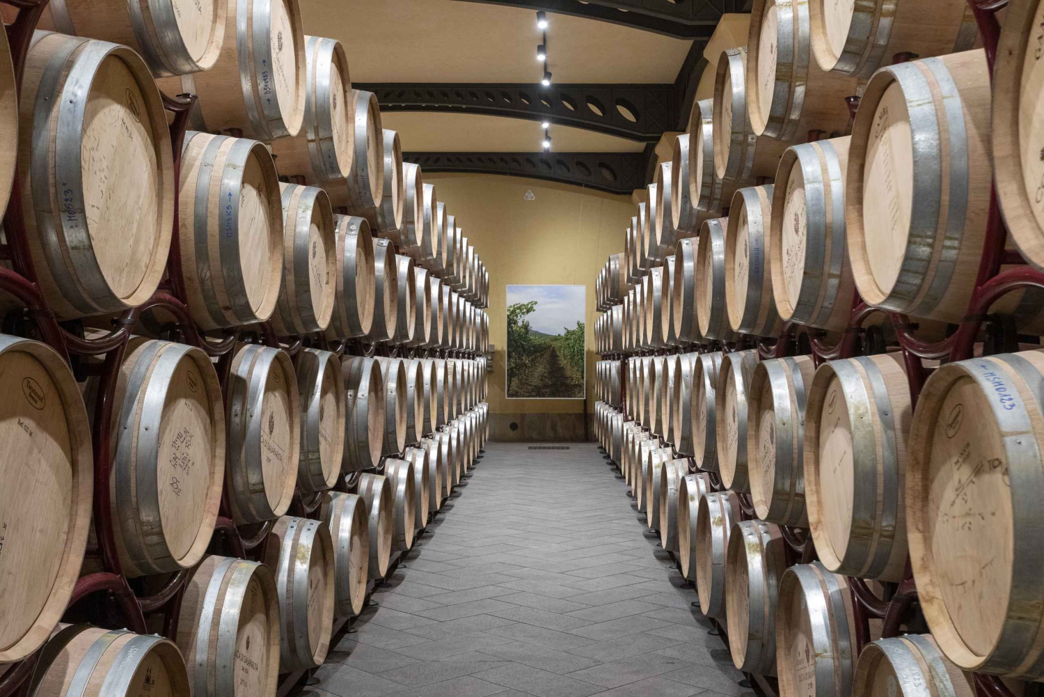 Tour e degustazione di vini Premium al Duca di Salaparuta