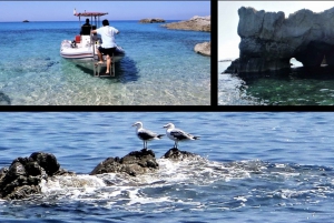Tropea: Sunset Costa degli Dei Boat Tour with Swimming