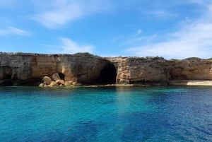 Tour dell'isola Ortigia,grotta azzurra, avvistamento delfini