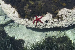 Rundresa i Giardini Naxos/Taormina, Isola Bella, Grotta Azzurra