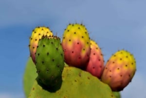 Bedste tur til Taormina, Castelmola, Isola Bella og Messina