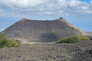 ETNA: TOUR GUIDATO DELL'ETNA CON PRELIEVO DA CATANIA